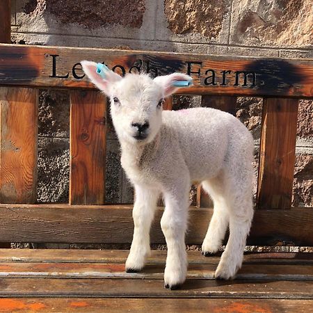 Lettoch Farm Panzió Dufftown Kültér fotó