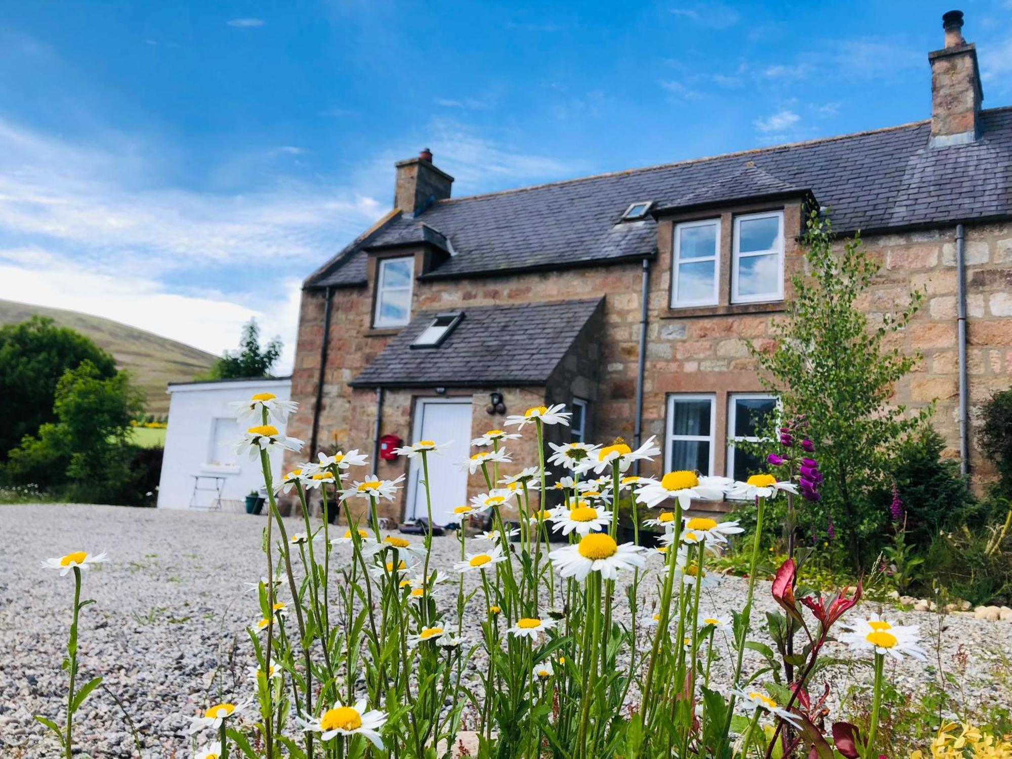 Lettoch Farm Panzió Dufftown Kültér fotó